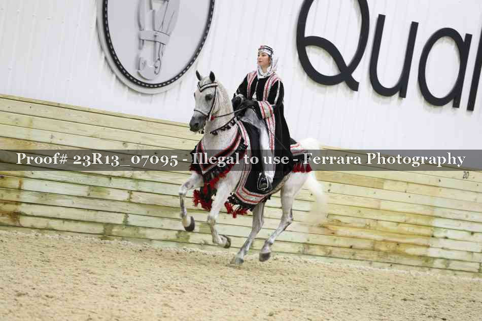 Proof 23R13_07095