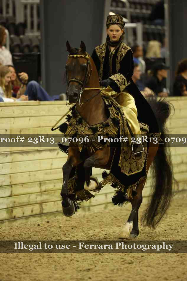 Proof 23R13_07096