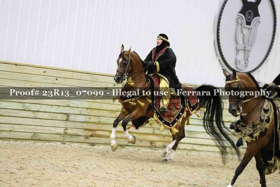Proof 23R13_07099