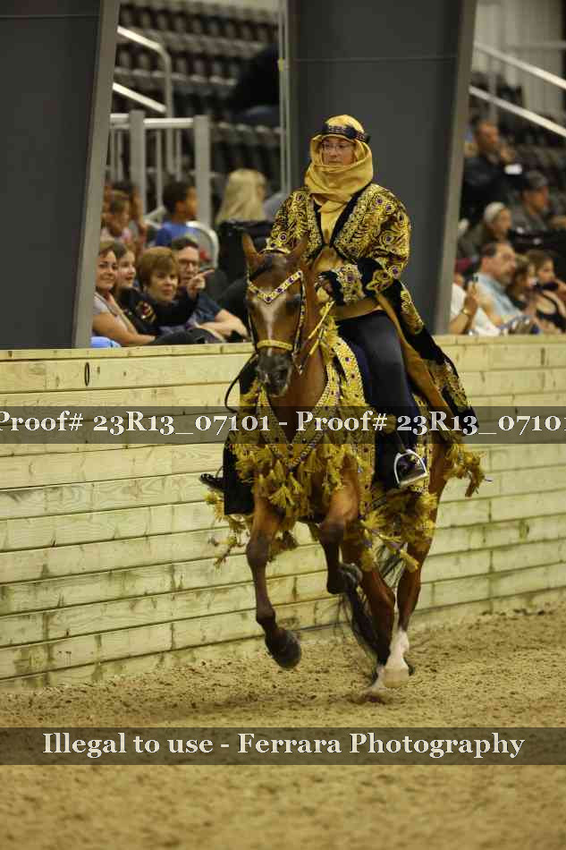 Proof 23R13_07101