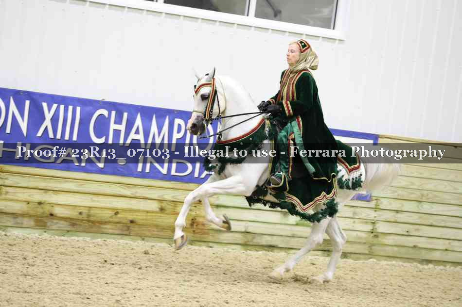 Proof 23R13_07103