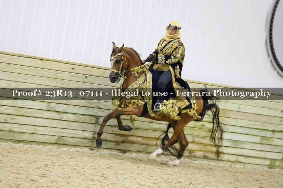 Proof 23R13_07111