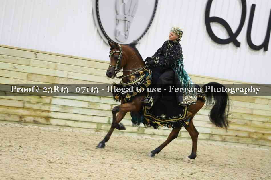 Proof 23R13_07113