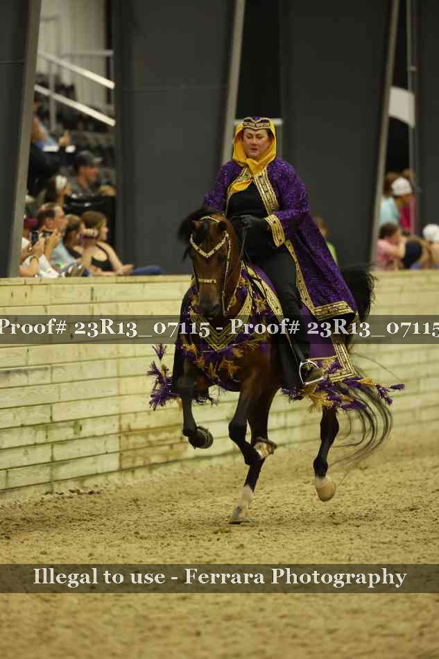 Proof 23R13_07115