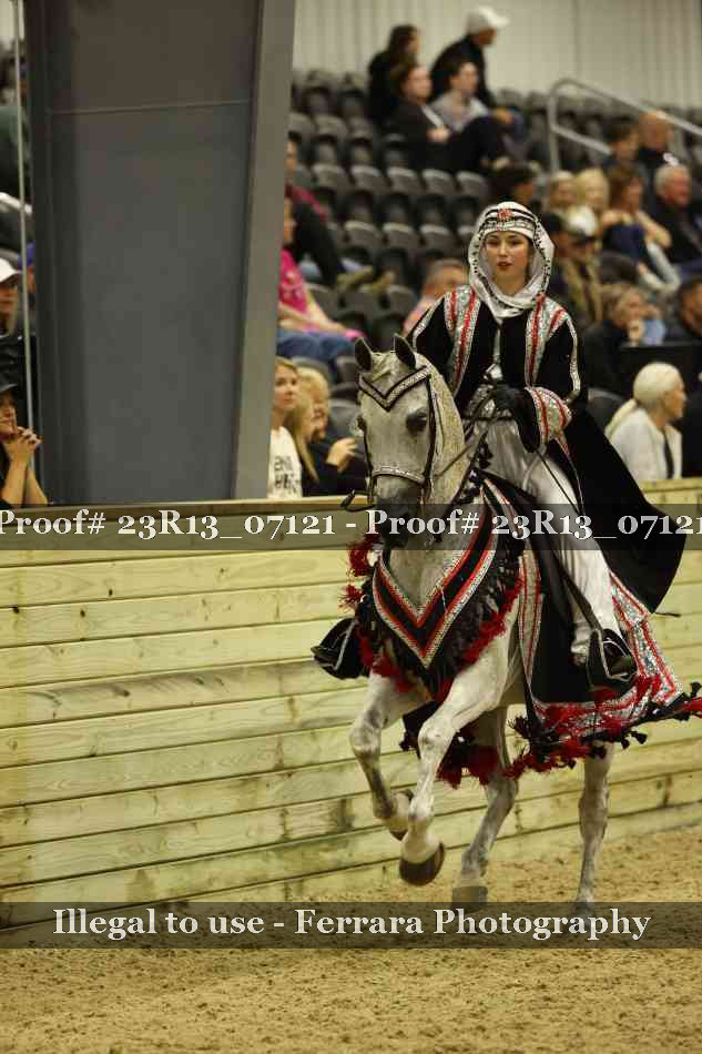 Proof 23R13_07121