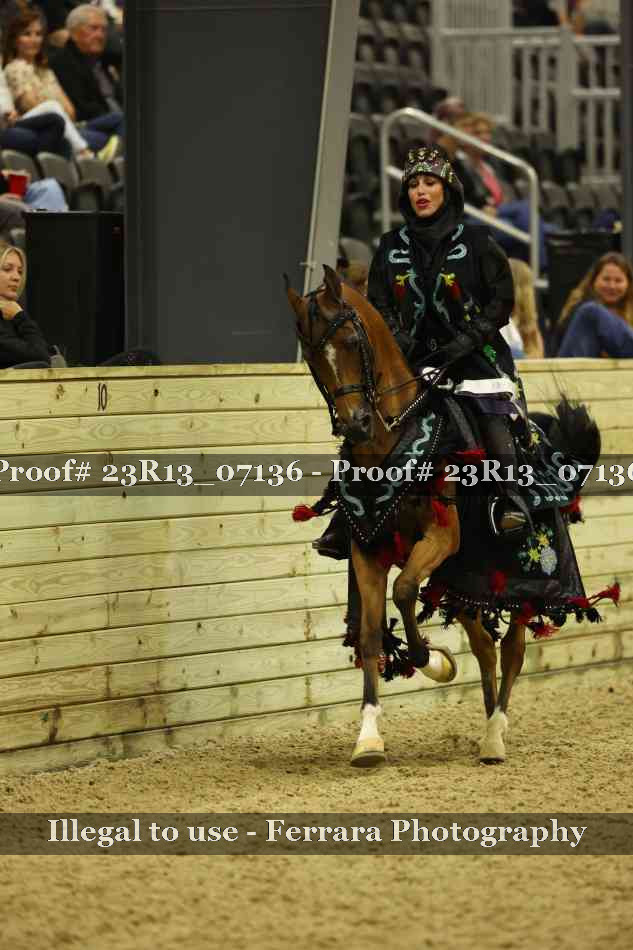 Proof 23R13_07136
