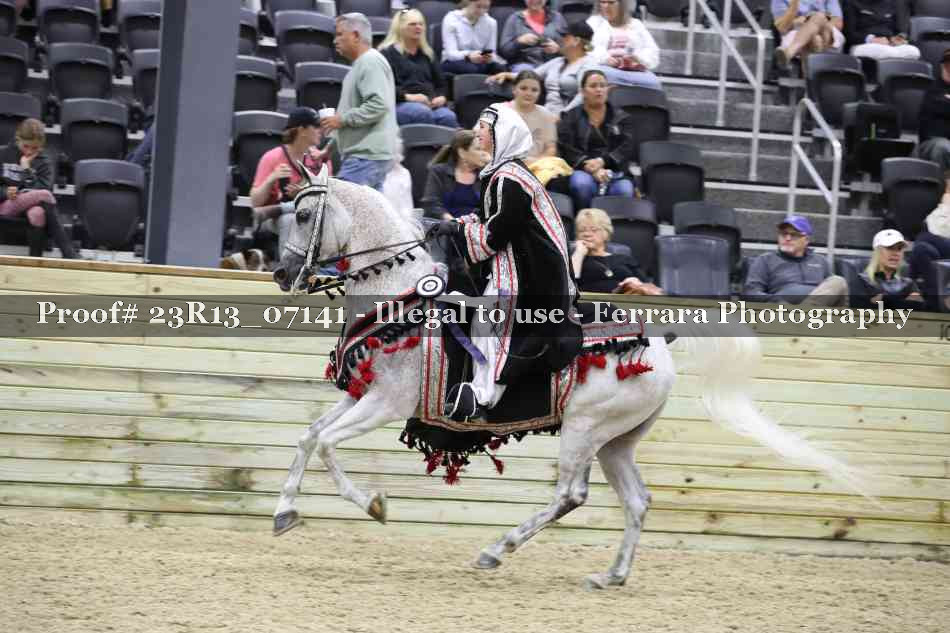 Proof 23R13_07141