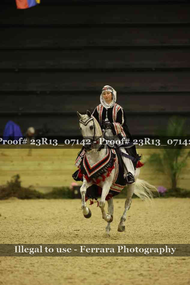 Proof 23R13_07142