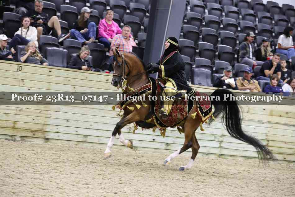 Proof 23R13_07147