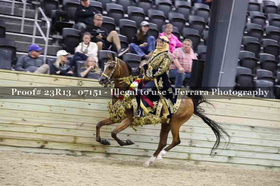 Proof 23R13_07151