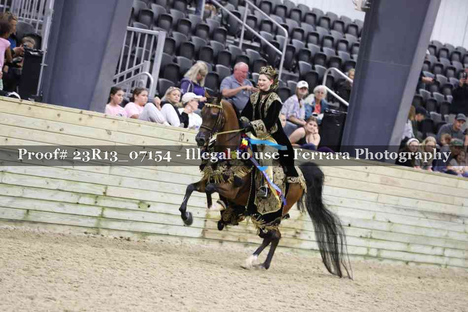 Proof 23R13_07154