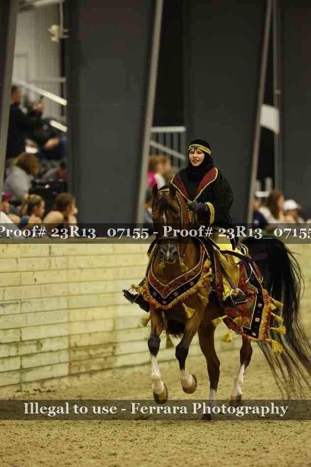 Proof 23R13_07155