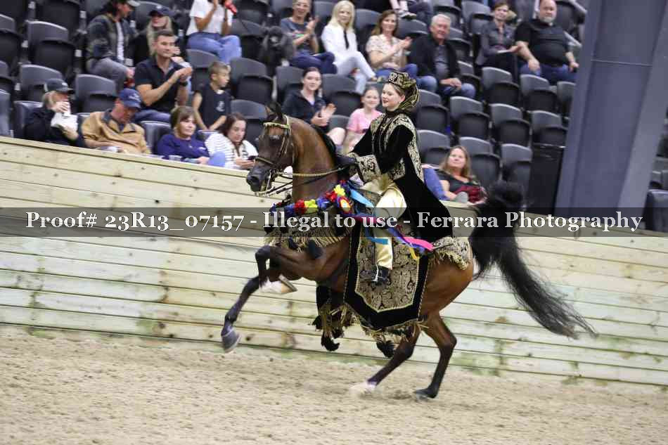Proof 23R13_07157