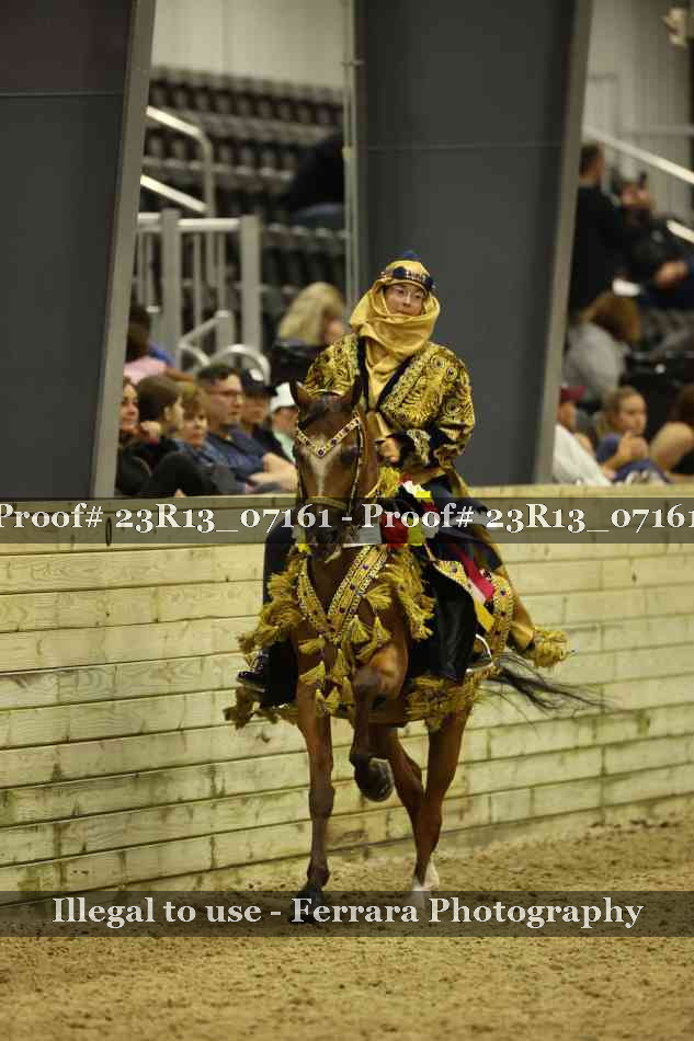 Proof 23R13_07161