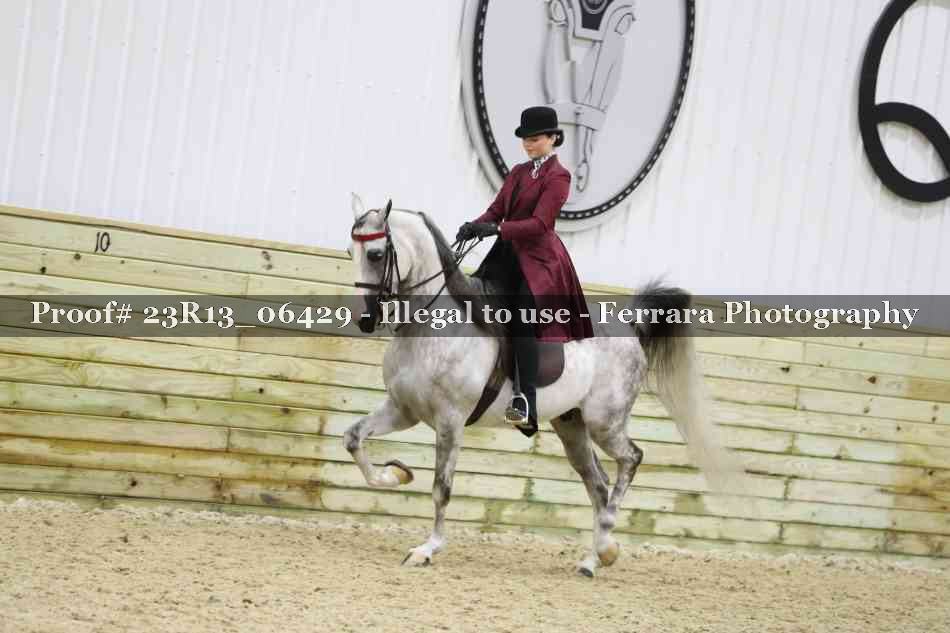 Proof 23R13_06429