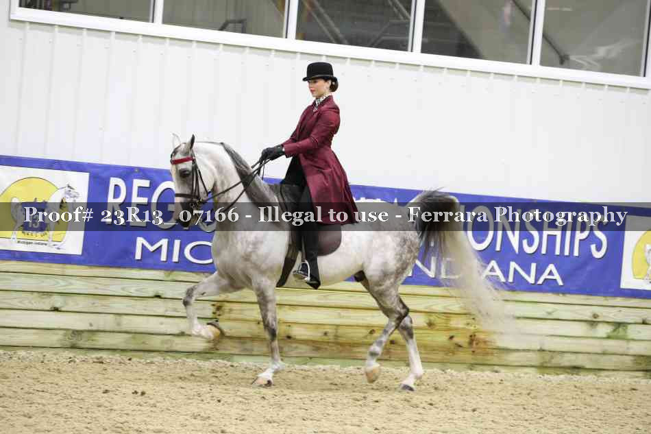 Proof 23R13_07166
