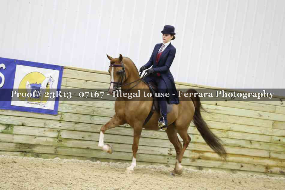 Proof 23R13_07167
