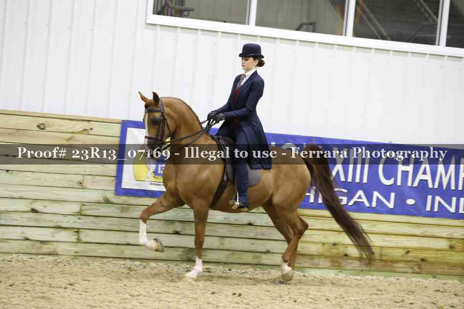 Proof 23R13_07169