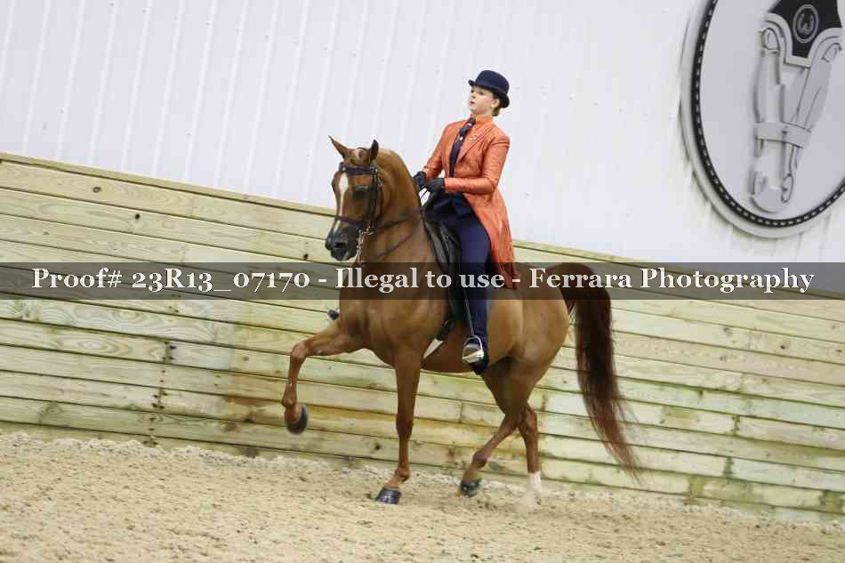 Proof 23R13_07170