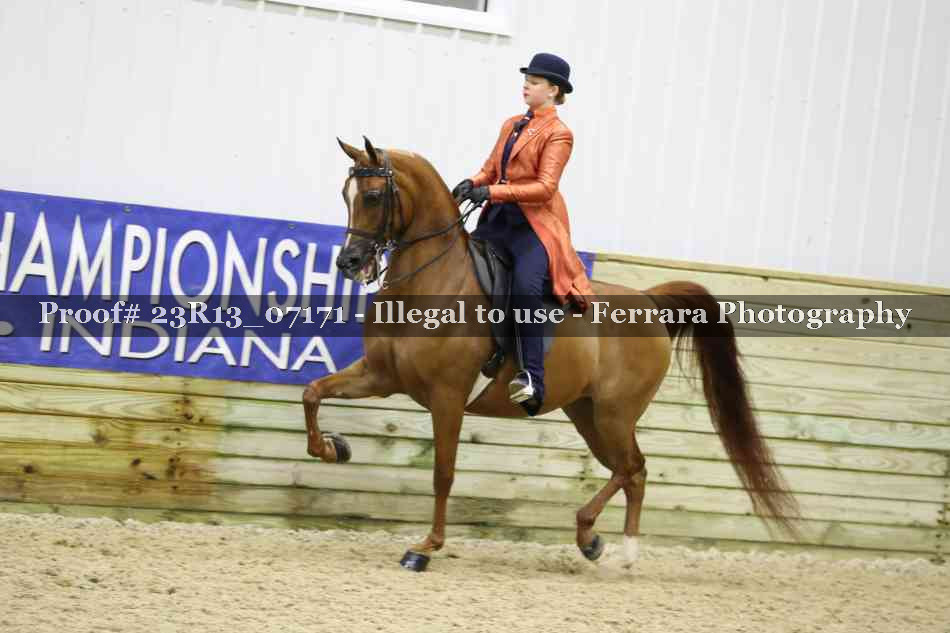 Proof 23R13_07171