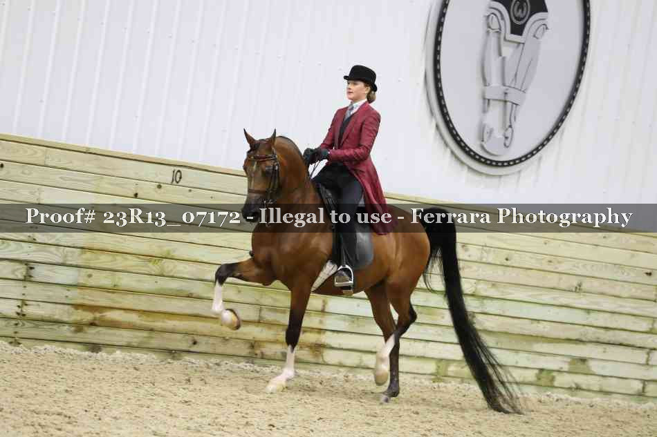 Proof 23R13_07172