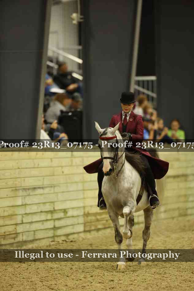 Proof 23R13_07175