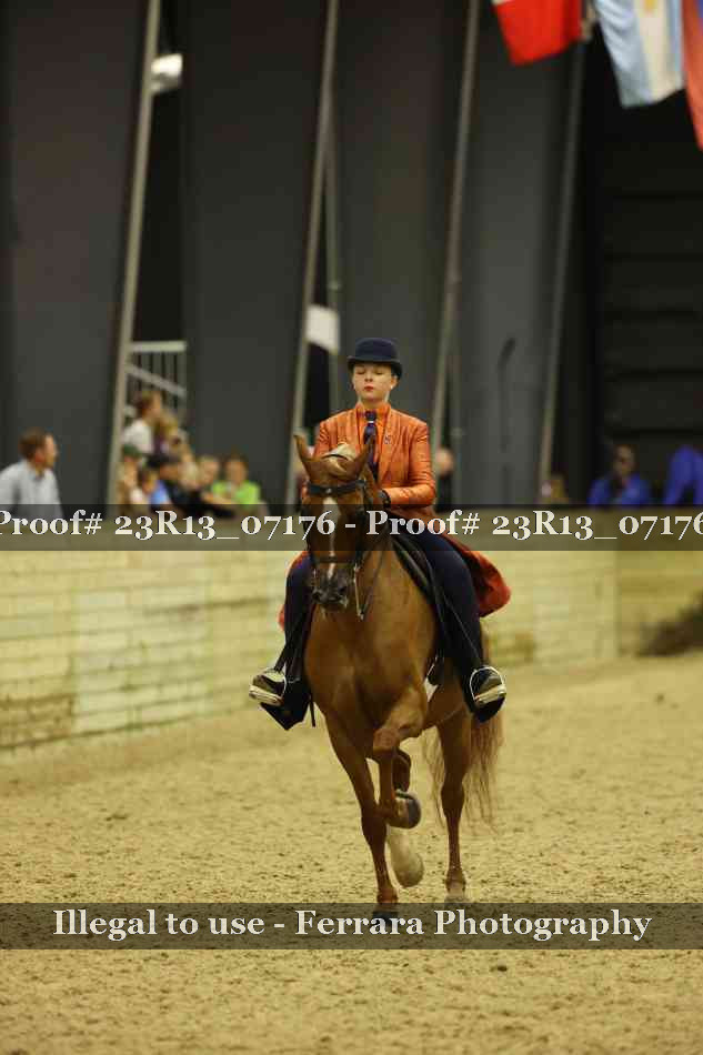 Proof 23R13_07176