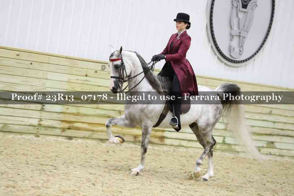 Proof 23R13_07178