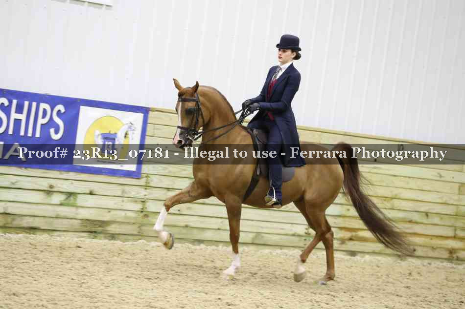 Proof 23R13_07181