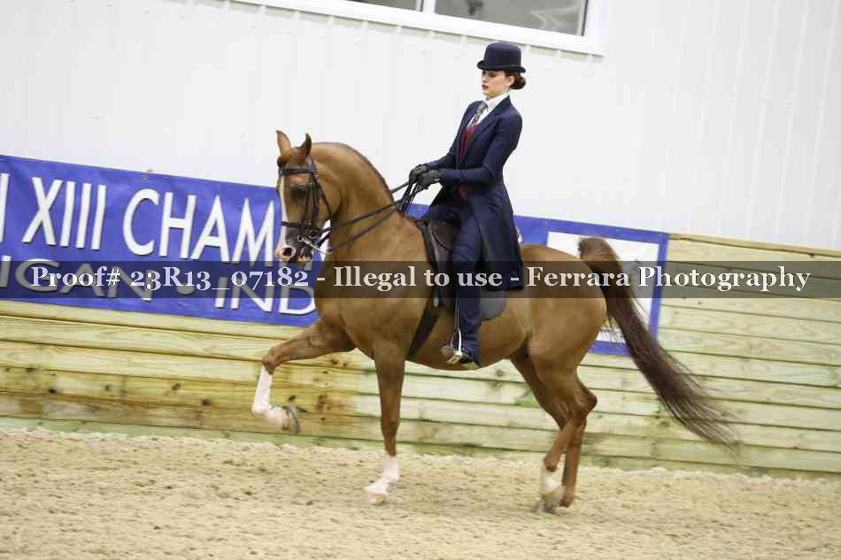 Proof 23R13_07182