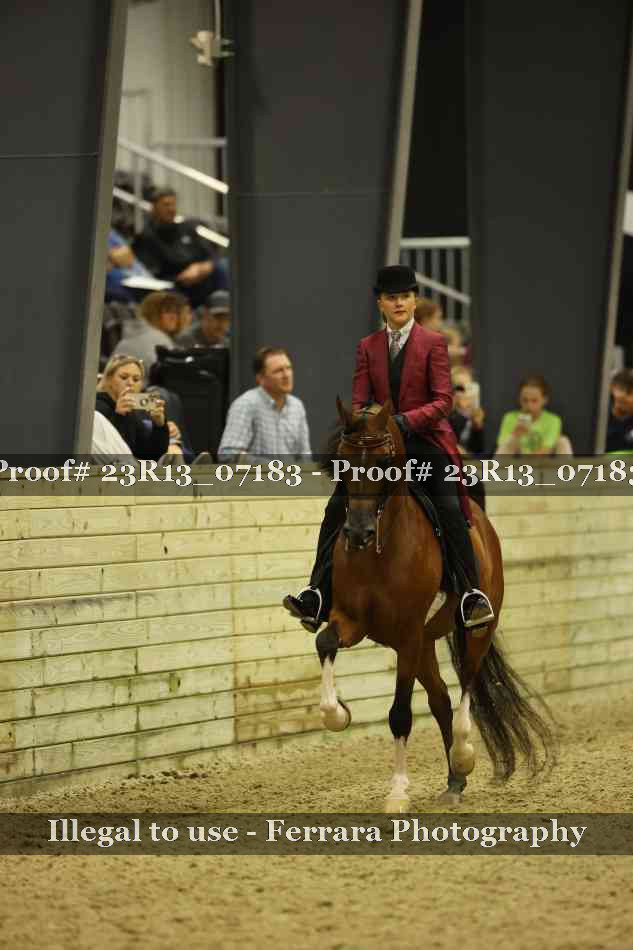Proof 23R13_07183