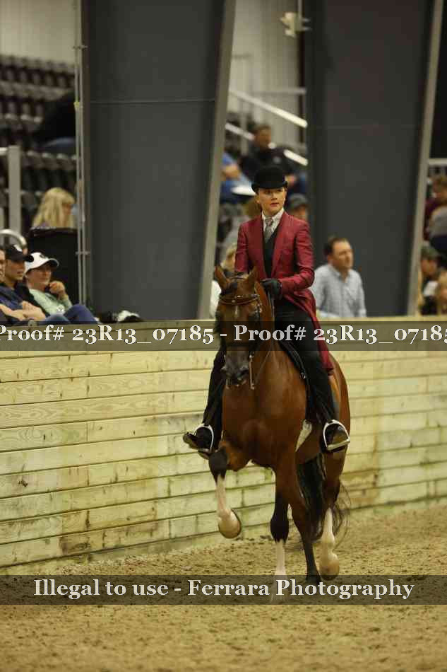 Proof 23R13_07185