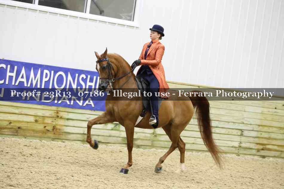 Proof 23R13_07186