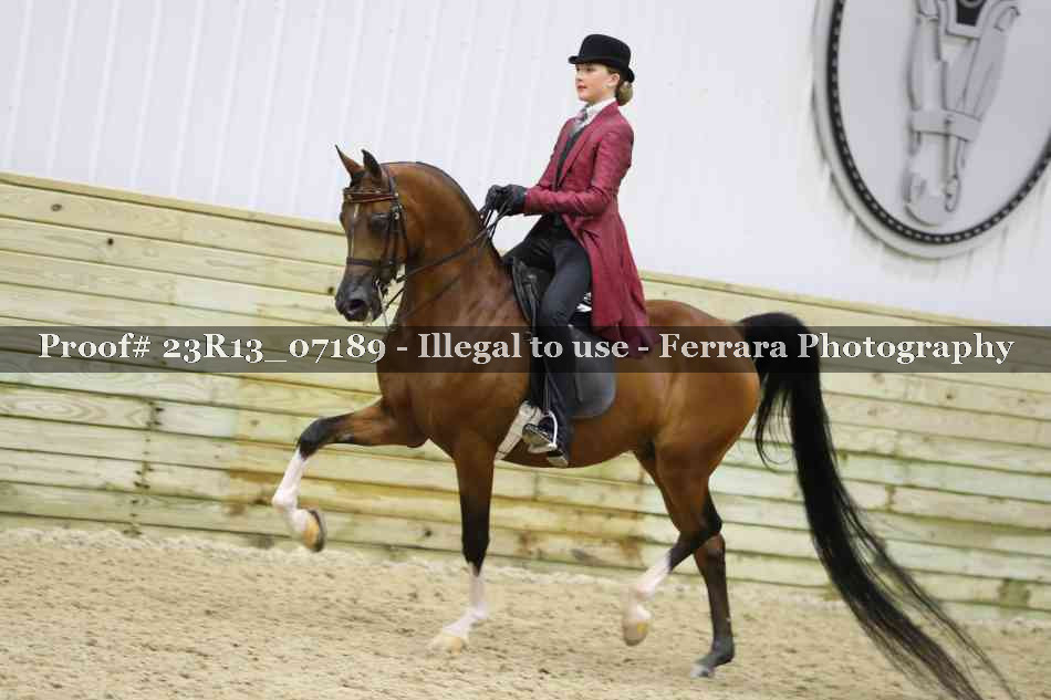 Proof 23R13_07189