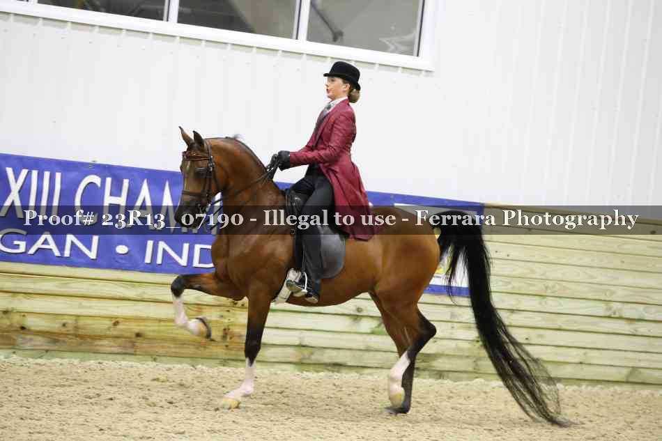 Proof 23R13_07190