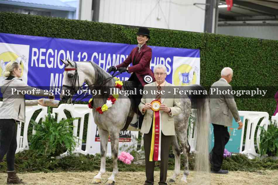 Proof 23R13_07191