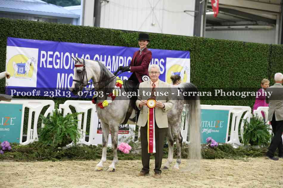 Proof 23R13_07193