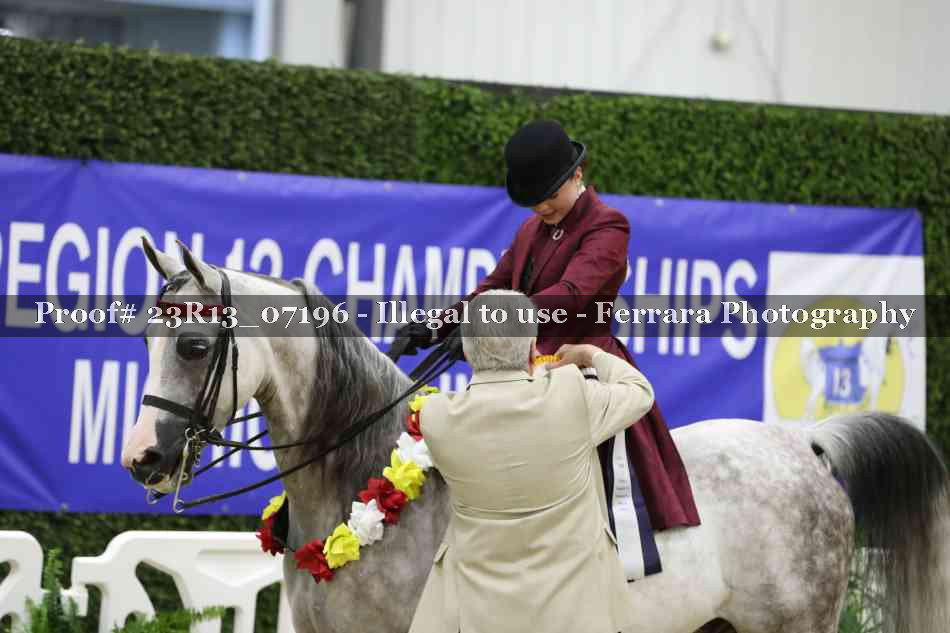 Proof 23R13_07196