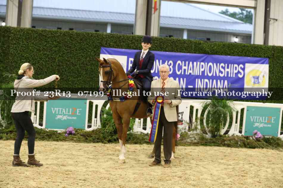 Proof 23R13_07199