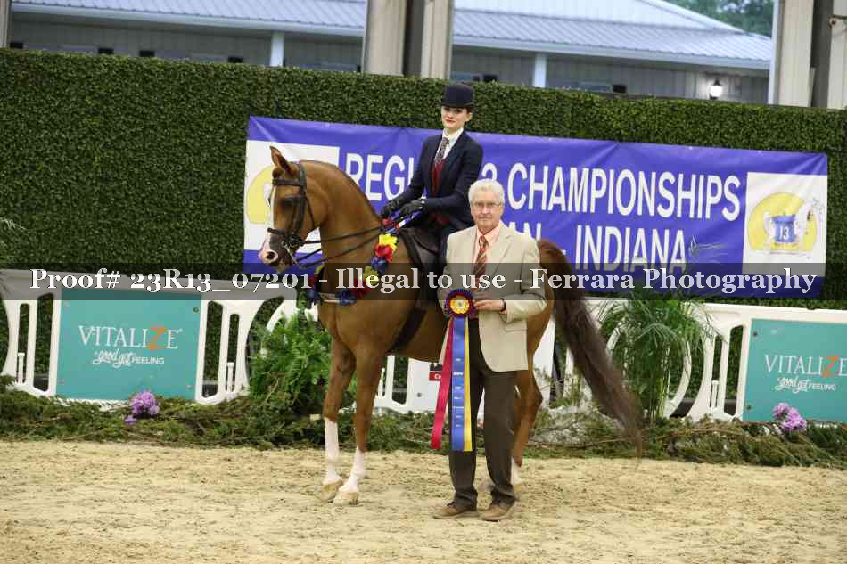 Proof 23R13_07201