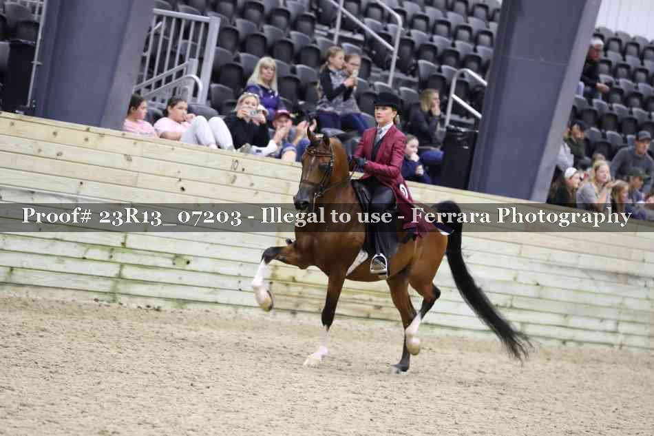 Proof 23R13_07203