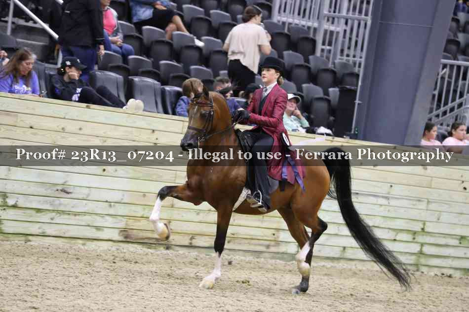 Proof 23R13_07204