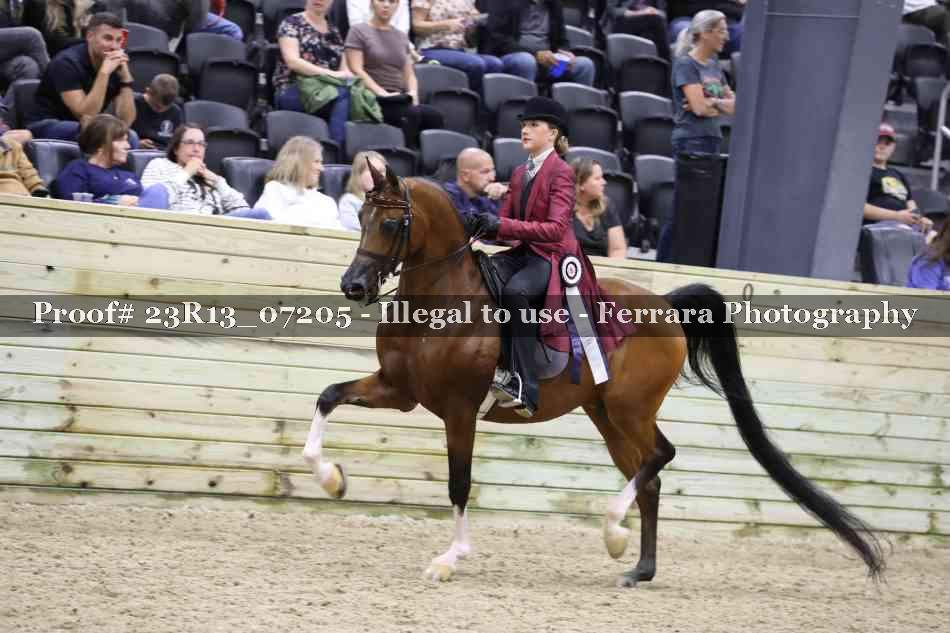 Proof 23R13_07205