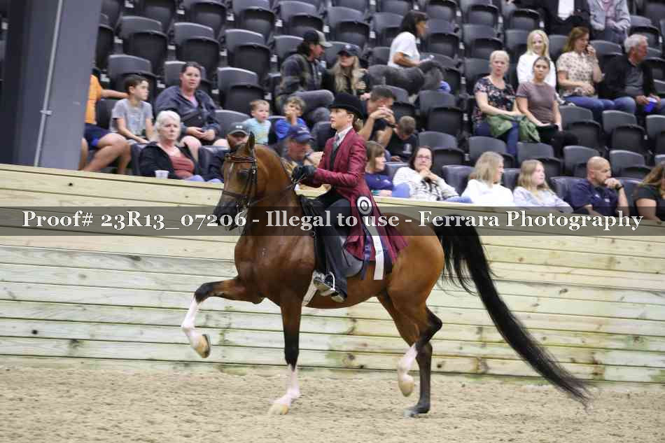 Proof 23R13_07206