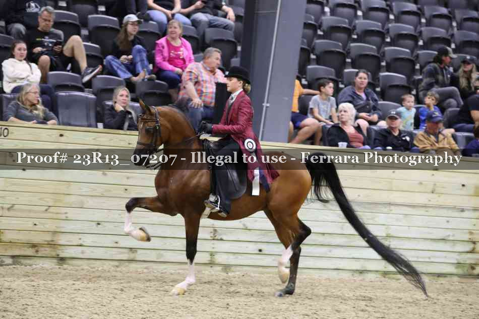 Proof 23R13_07207