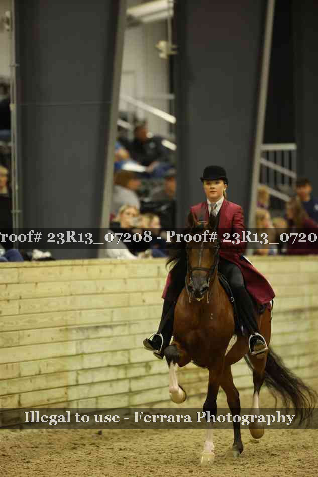Proof 23R13_07208