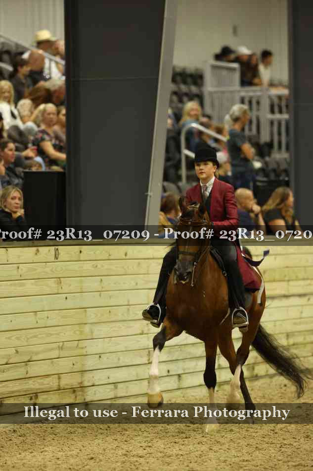 Proof 23R13_07209