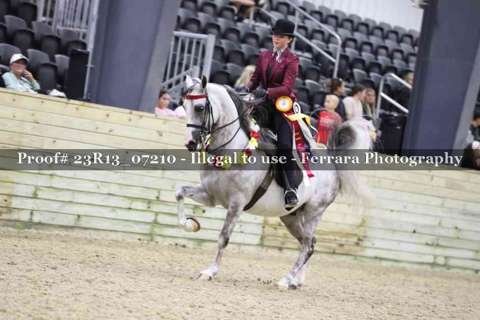 Proof 23R13_07210