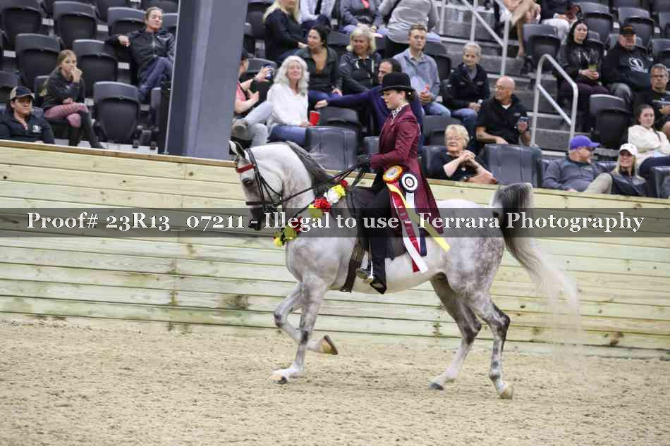 Proof 23R13_07211