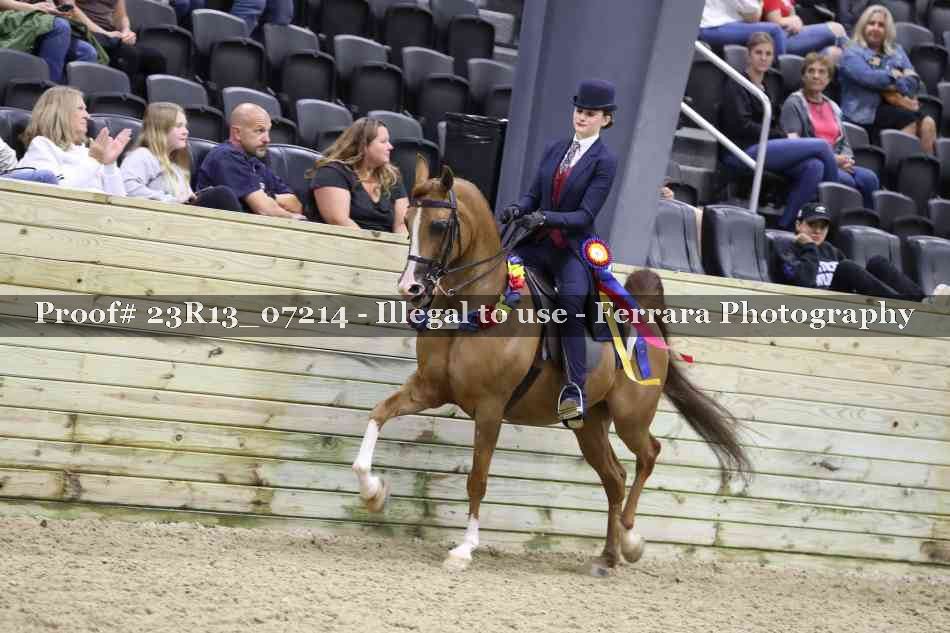 Proof 23R13_07214